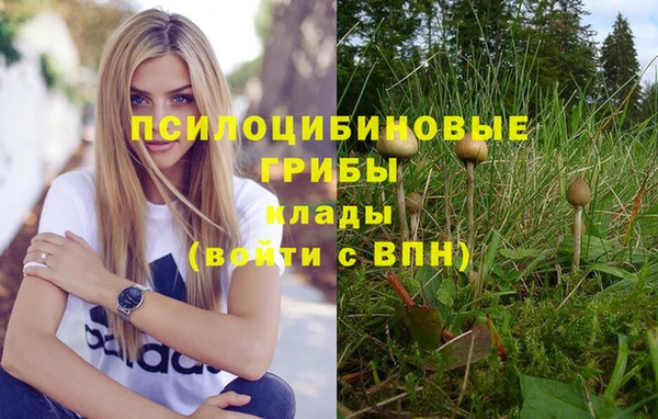 ешки Верхний Тагил